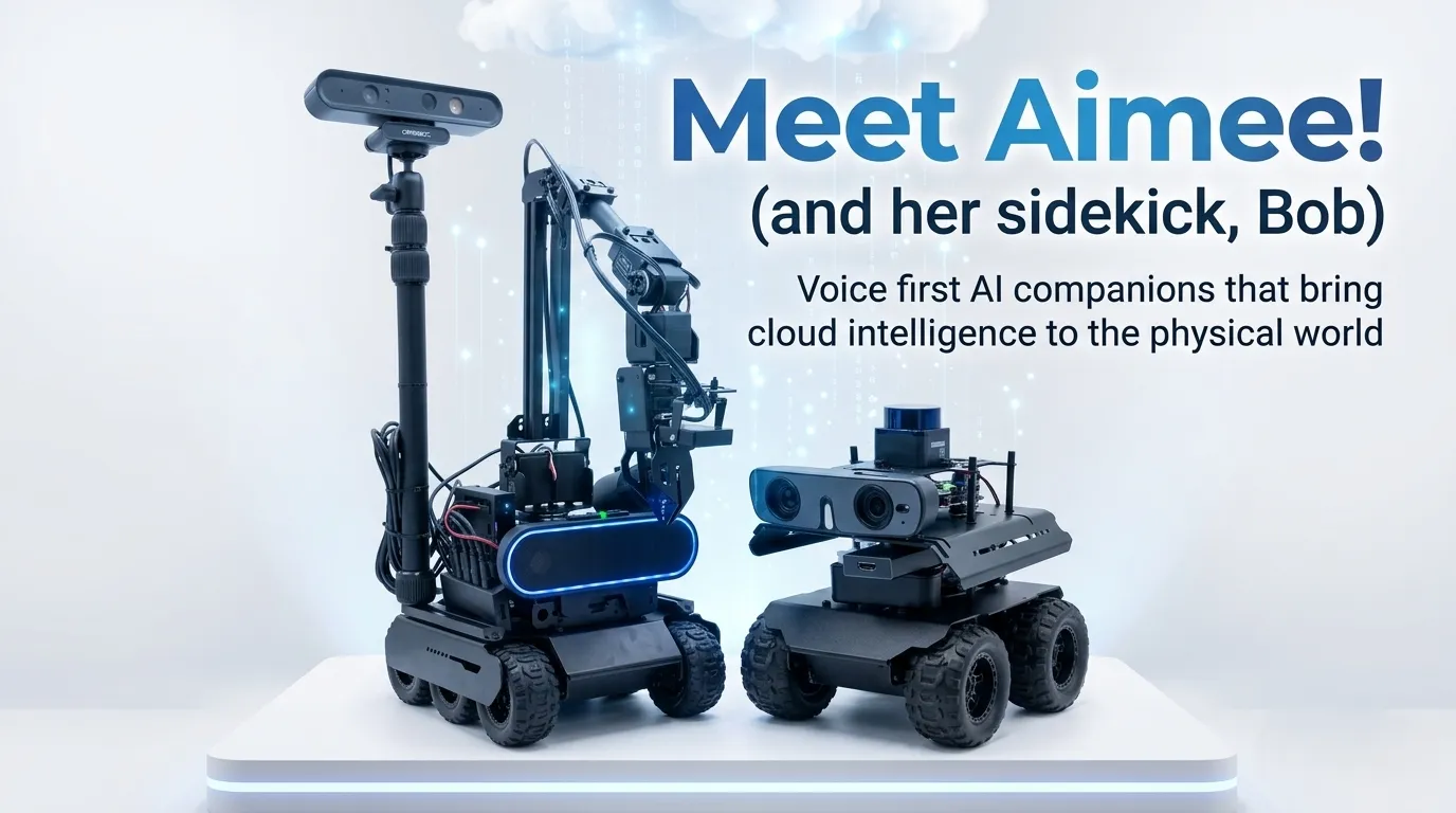Meet Aimee!